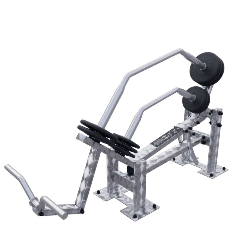 Ive Mięśnie Bicepsów